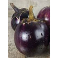Eggplant seeds Florence 30 us