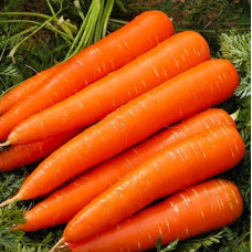 Carrot seeds Chervonyi veleten 10 h