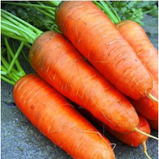 Carrot seeds Bolteks 10 h