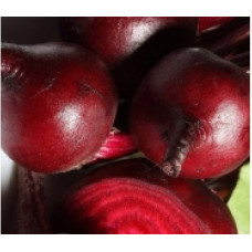 Beet seeds Chervona kulia 15 h