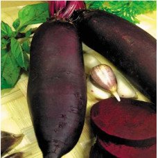 Beet seeds Tsylindra 10 h