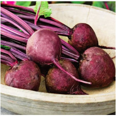 Beet seeds Detroit 15 h
