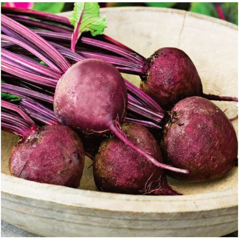 Beet seeds Detroit 15 h
