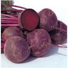 Beet seeds Tron 10 h