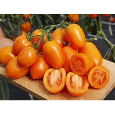 Tomato seeds Cream Orange F1 10 pcs