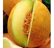 Melons and corn