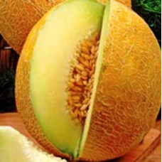 Melon seeds Titovka 3 h