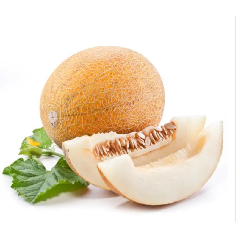Melon seeds Lesia 3 h