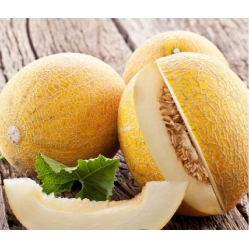Melon seeds Chaika 3 h