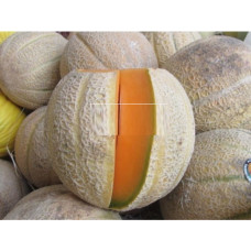 Melon seeds San-Remo 3 h