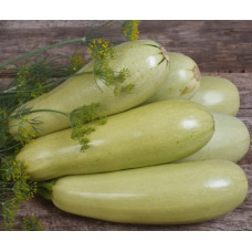 Nasinnia kabachkiv Hrybovskyi 15 seeds