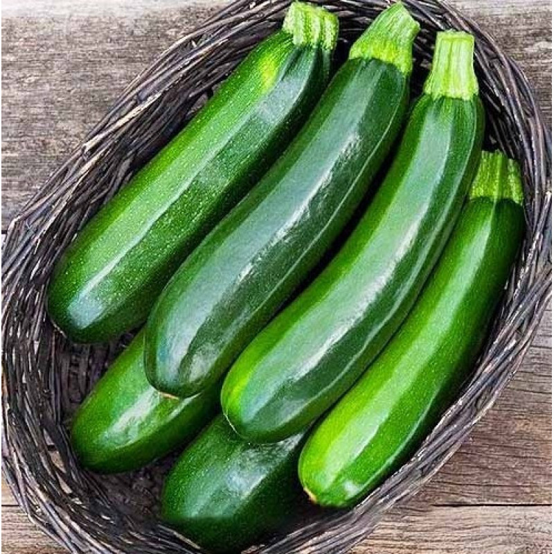 Nasinnia kabachkiv Aeronavt 15 seeds