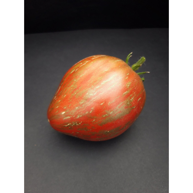 Dwarf Purple Heartthrob tomato seeds 10 pcs