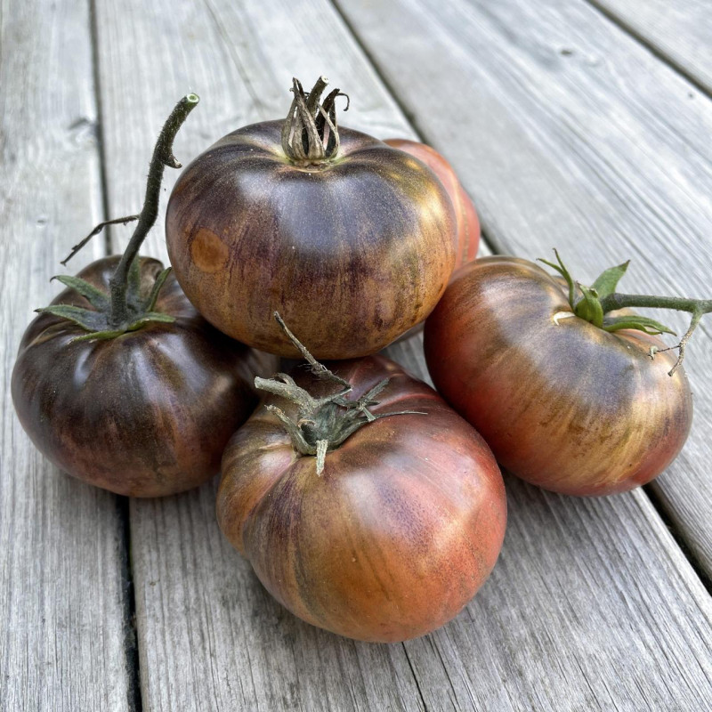 Tomato seeds The Thong Dwarf 10 pcs