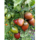 Dwarf Purple Heart 10 seeds