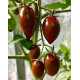 Tomato seeds Chocolate Fingers F1 5 pcs