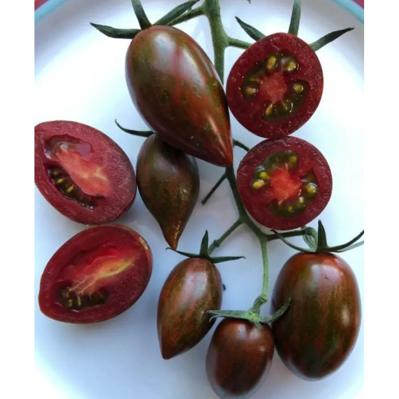 Tomato seeds Chocolate Fingers F1 5 pcs