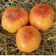 Apricot jam 15 us