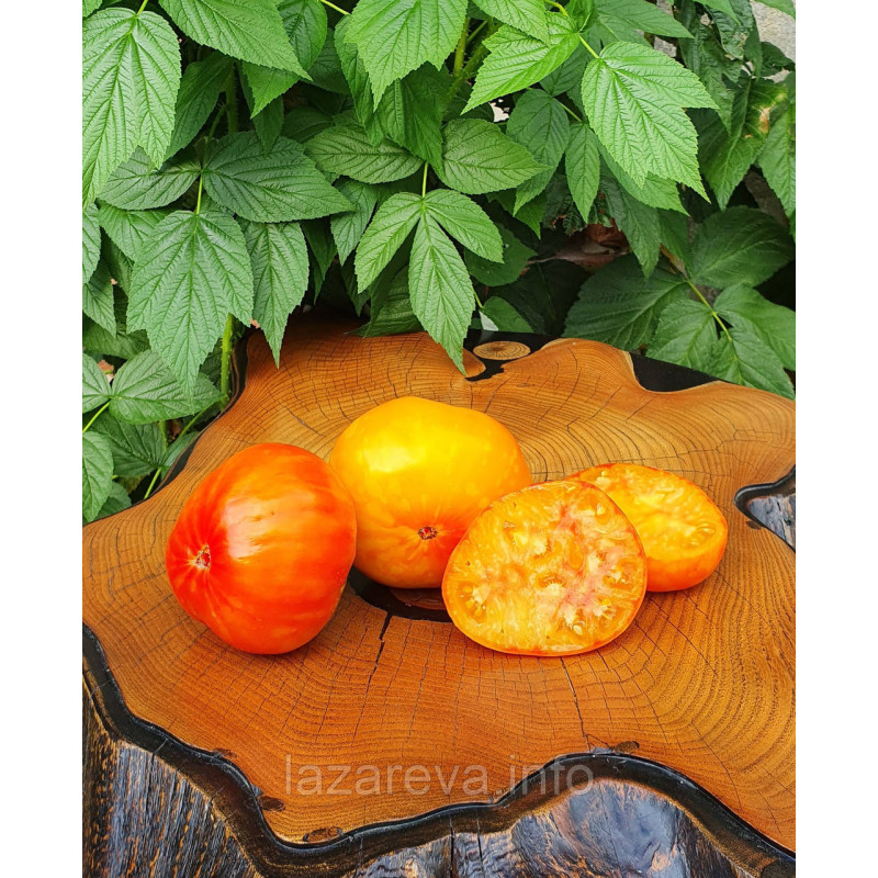 Dwarf Lucky Swirl tomato seeds 10 pcs