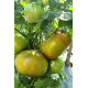 Dwarf Peppermint Stripes Tomato Seeds 10 pcs