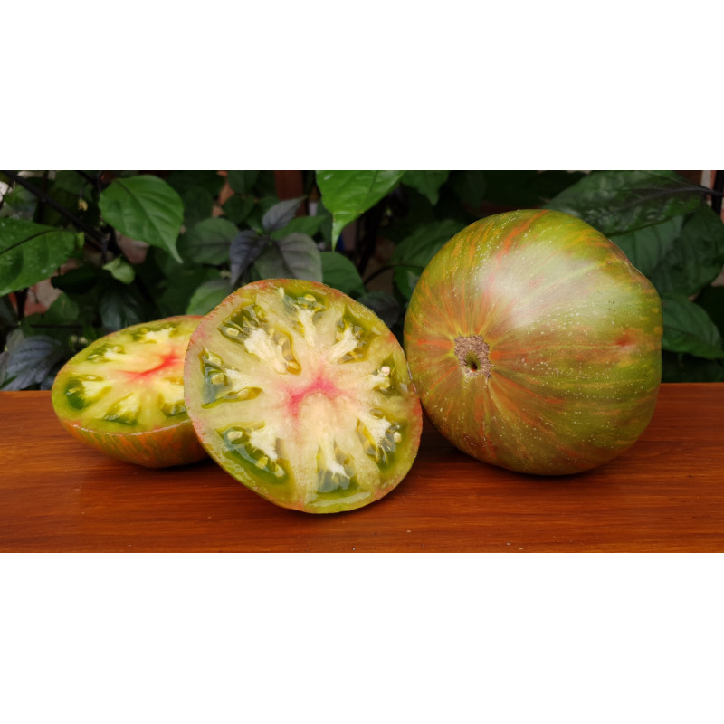 Dwarf Peppermint Stripes Tomato Seeds 10 pcs