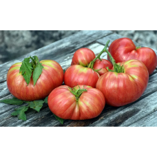 Dwarf Firebird Sweet tomato seeds (Dwarf Firebird Sweet) 10 pcs