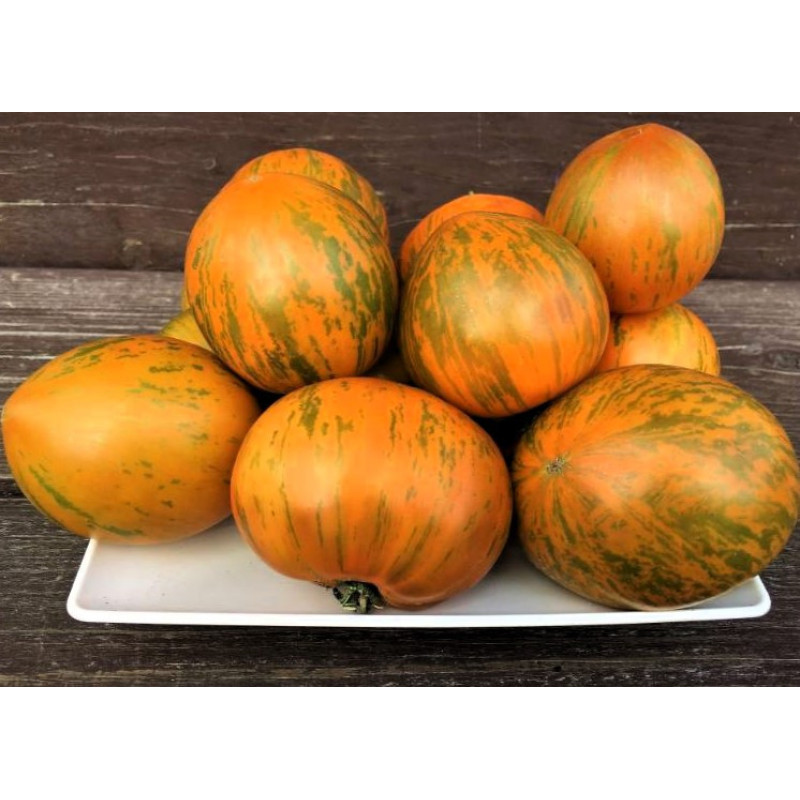 Tomato seeds Babylon's Glow Dwarf 10 pcs