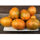 Tomato seeds Babylon's Glow Dwarf 10 pcs