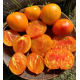 Dwarf Gloria's Treat Tomato Seeds 10 pcs