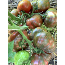Dwarf Crimson Sockeye Tomato Seeds 10 pcs