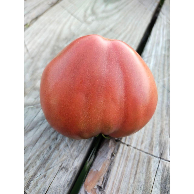 Dwarf Buddy’s Heart Tomato Seeds 10 pcs