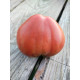 Dwarf Buddy’s Heart Tomato Seeds 10 pcs