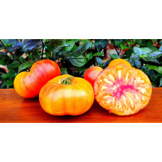 Dwarf Suz's Beauty Tomato Seeds 10 pcs