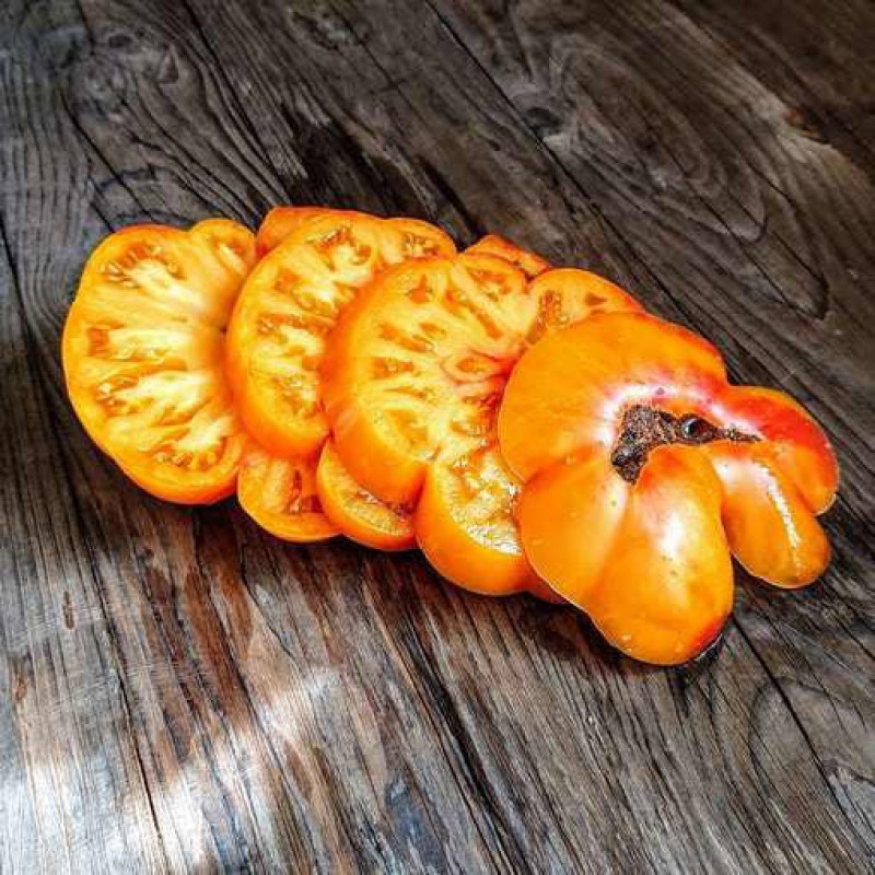Dwarf Lucky Swirl Tomato Seeds 10 pcs