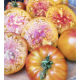 Dwarf Caitydid tomato seeds 10 pcs