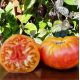 Dwarf Caitydid tomato seeds 10 pcs