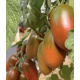Tomato seeds Chornyi voron F1 500 seeds