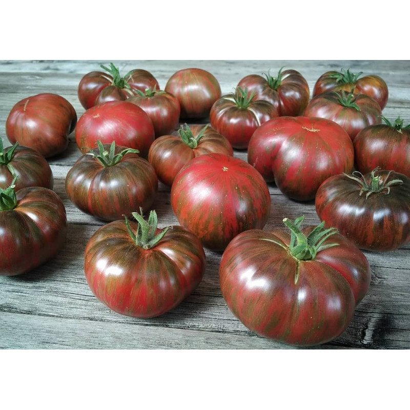 Tomato seeds Karlyk Strynhy 100 seeds