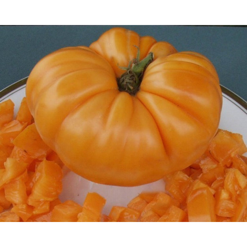 Amana Orange "Amana Orange" 15 seeds