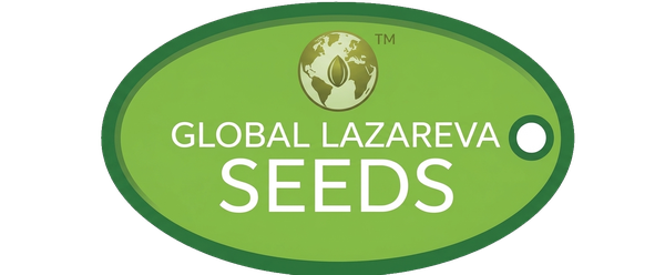 Lazareva Global